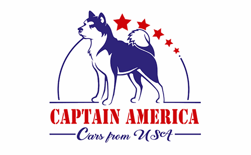 бот для авто из США